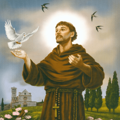 St.Francis Assisi